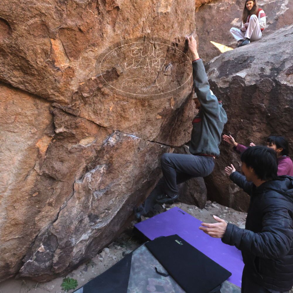 

Filename: SRM_20260118_1049190.jpg
Aperture: f/8.0
Shutter Speed: 1/1000
Body: Canon EOS R6
Lens: Canon EF 16-35mm f/2.8 L