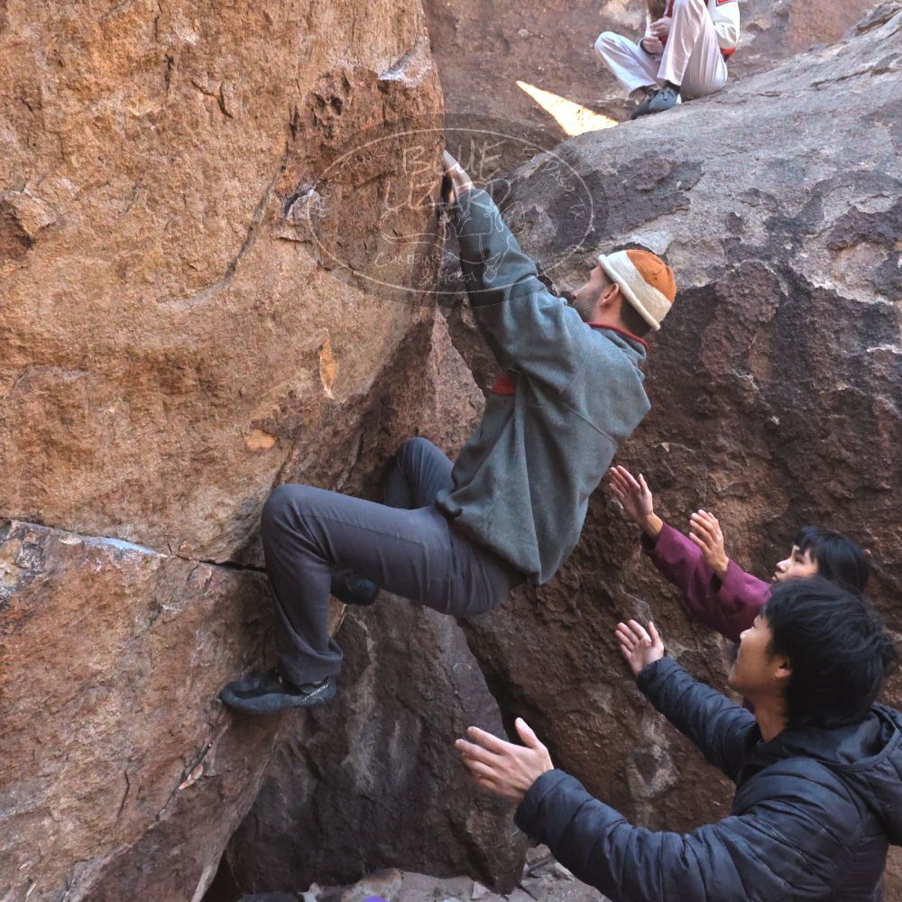 

Filename: SRM_20260118_1049220.jpg
Aperture: f/8.0
Shutter Speed: 1/1000
Body: Canon EOS R6
Lens: Canon EF 16-35mm f/2.8 L