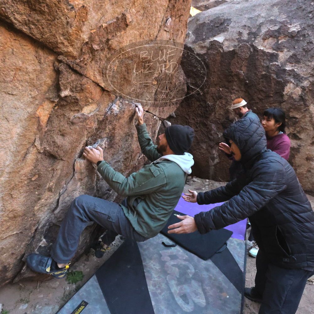 

Filename: SRM_20260118_1051460.jpg
Aperture: f/8.0
Shutter Speed: 1/1000
Body: Canon EOS R6
Lens: Canon EF 16-35mm f/2.8 L