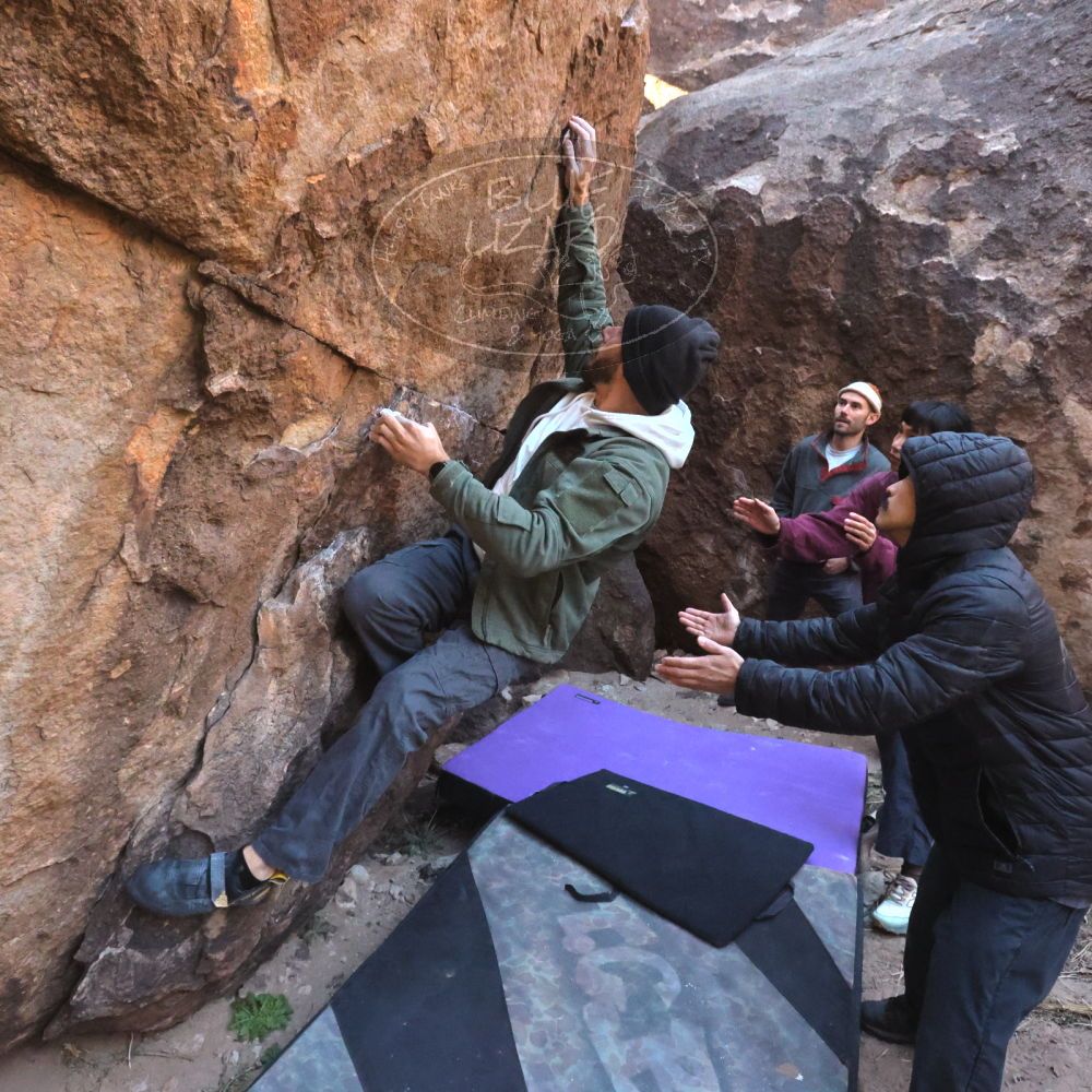 

Filename: SRM_20260118_1051500.jpg
Aperture: f/8.0
Shutter Speed: 1/1000
Body: Canon EOS R6
Lens: Canon EF 16-35mm f/2.8 L