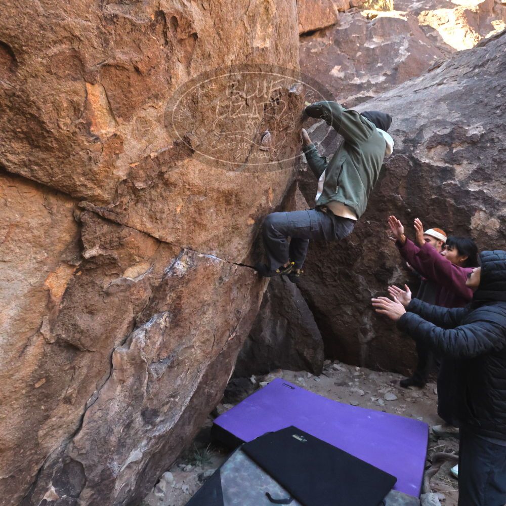 Filename: SRM_20260118_1052030.jpg
Aperture: f/8.0
Shutter Speed: 1/1000
Body: Canon EOS R6
Lens: Canon EF 16-35mm f/2.8 L