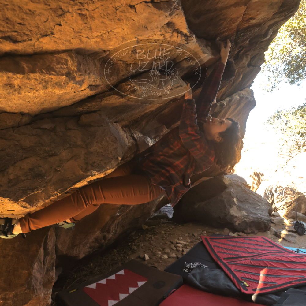 

Filename: SRM_20260118_1052130.jpg
Aperture: f/8.0
Shutter Speed: 1/1000
Body: Canon EOS R6
Lens: Canon EF 16-35mm f/2.8 L