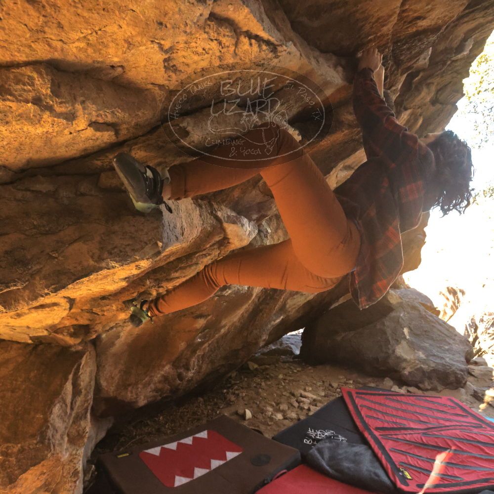 

Filename: SRM_20260118_1052190.jpg
Aperture: f/8.0
Shutter Speed: 1/1000
Body: Canon EOS R6
Lens: Canon EF 16-35mm f/2.8 L