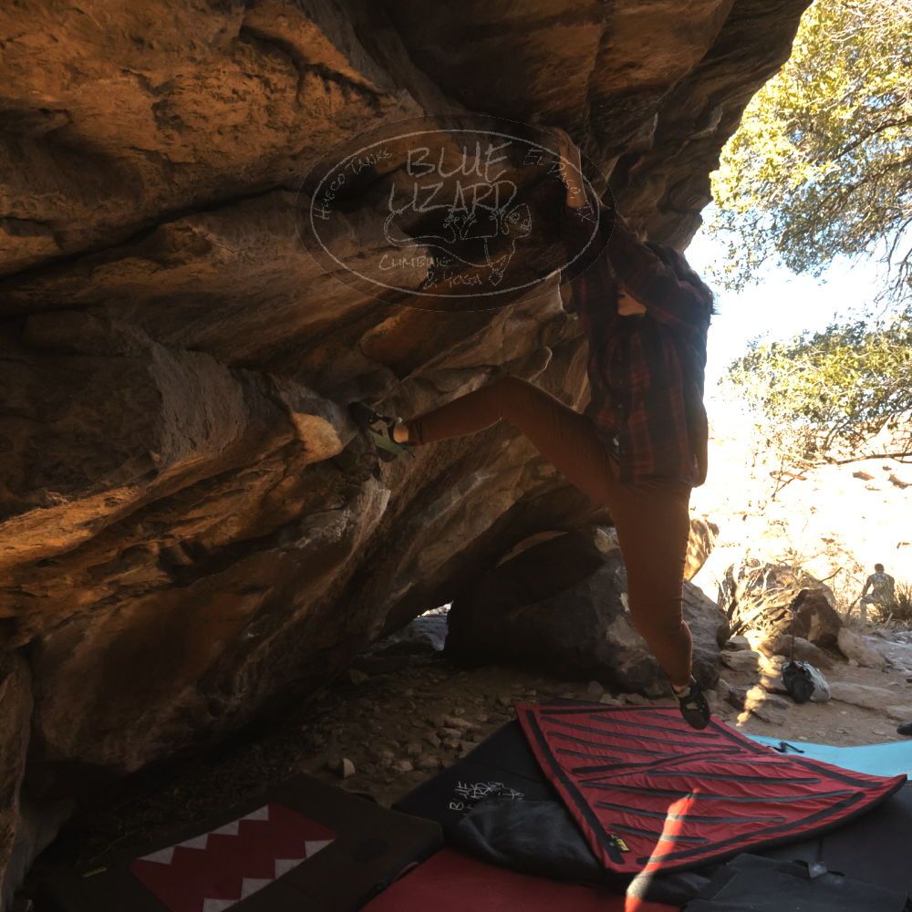 Filename: SRM_20260118_1052220.jpg
Aperture: f/8.0
Shutter Speed: 1/1000
Body: Canon EOS R6
Lens: Canon EF 16-35mm f/2.8 L