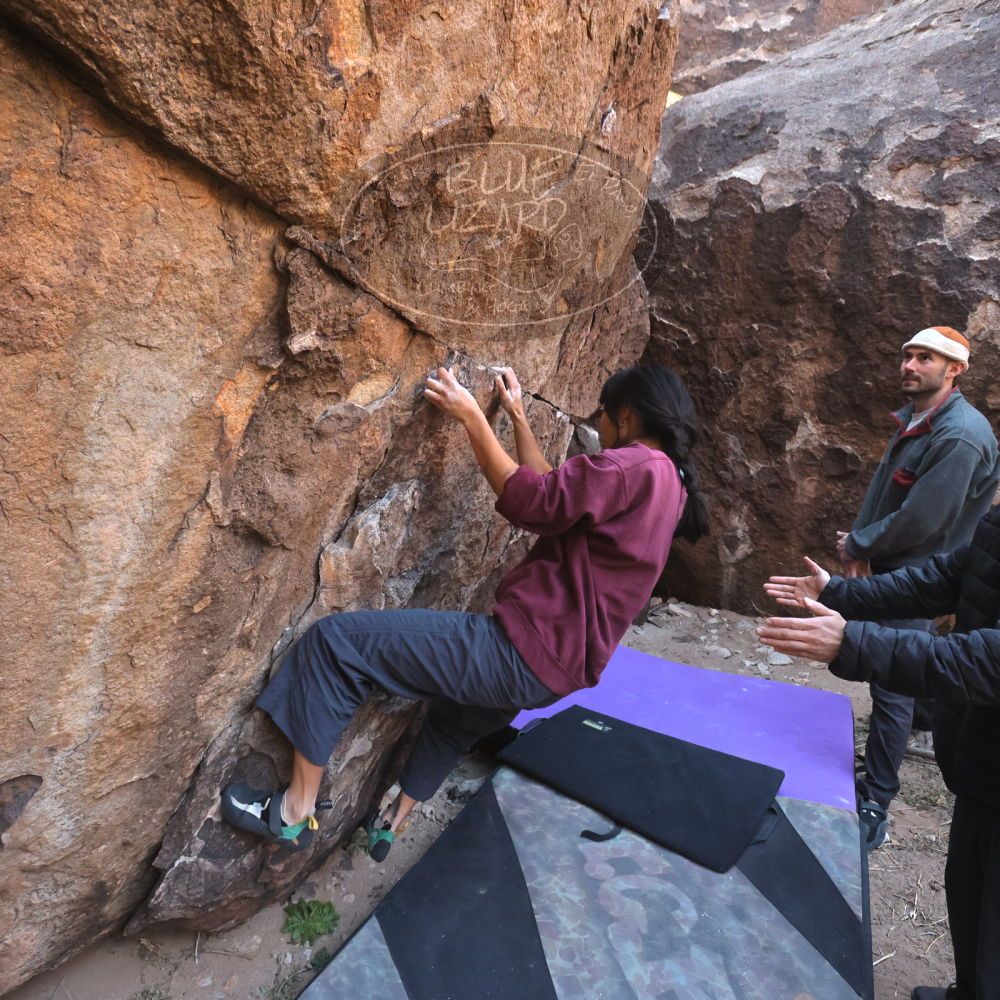 

Filename: SRM_20260118_1054110.jpg
Aperture: f/5.6
Shutter Speed: 1/500
Body: Canon EOS R6
Lens: Canon EF 16-35mm f/2.8 L