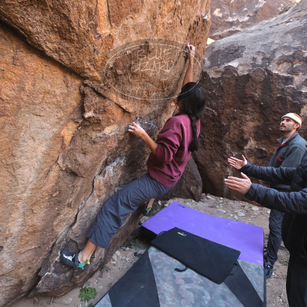 

Filename: SRM_20260118_1054130.jpg
Aperture: f/5.6
Shutter Speed: 1/500
Body: Canon EOS R6
Lens: Canon EF 16-35mm f/2.8 L