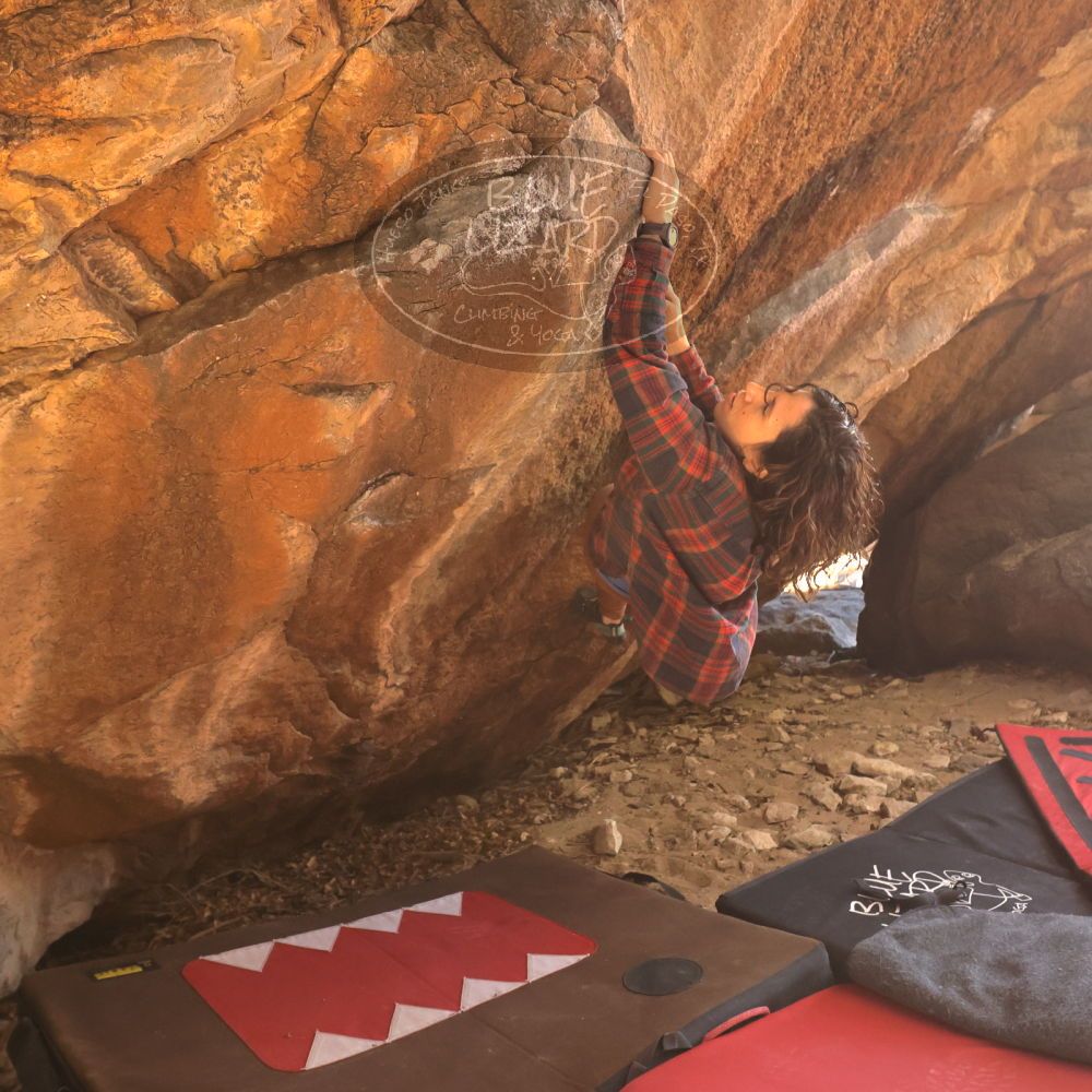 

Filename: SRM_20260118_1056330.jpg
Aperture: f/5.6
Shutter Speed: 1/500
Body: Canon EOS R6
Lens: Canon EF 16-35mm f/2.8 L