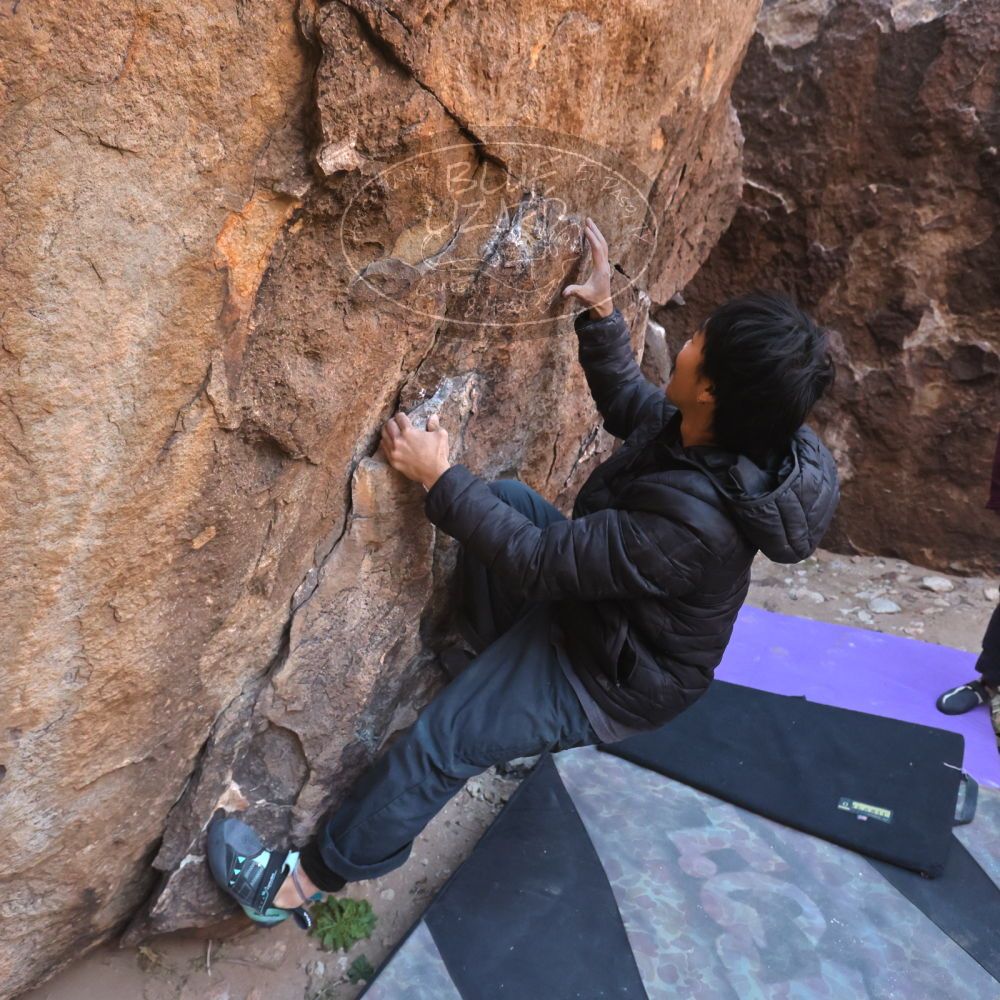 

Filename: SRM_20260118_1058120.jpg
Aperture: f/5.6
Shutter Speed: 1/500
Body: Canon EOS R6
Lens: Canon EF 16-35mm f/2.8 L