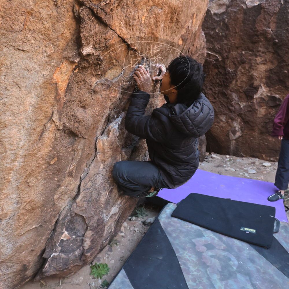 Filename: SRM_20260118_1058150.jpg
Aperture: f/5.6
Shutter Speed: 1/500
Body: Canon EOS R6
Lens: Canon EF 16-35mm f/2.8 L