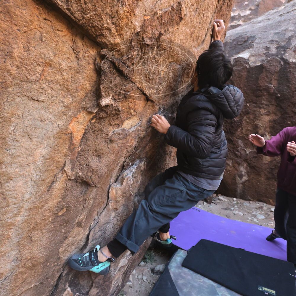 

Filename: SRM_20260118_1058190.jpg
Aperture: f/5.6
Shutter Speed: 1/500
Body: Canon EOS R6
Lens: Canon EF 16-35mm f/2.8 L