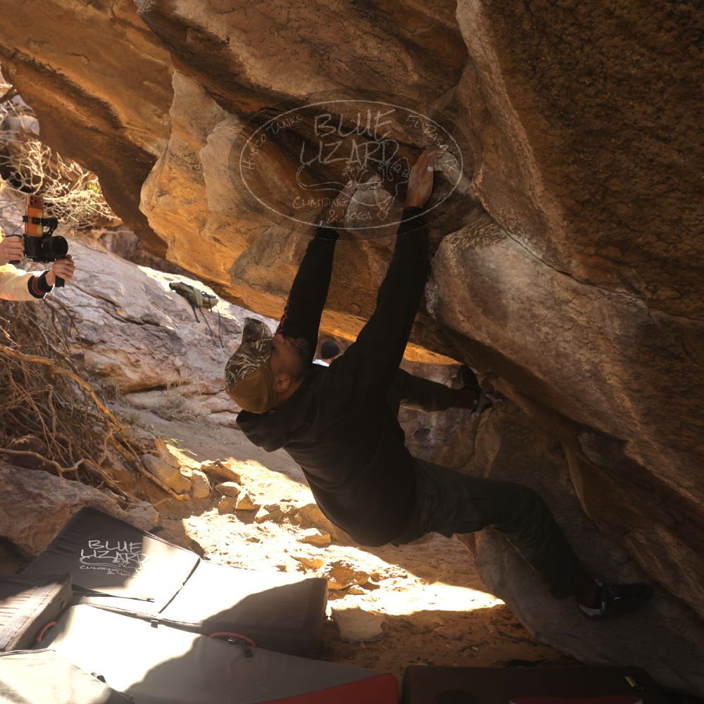 

Filename: SRM_20260118_1059420.jpg
Aperture: f/5.6
Shutter Speed: 1/500
Body: Canon EOS R6
Lens: Canon EF 16-35mm f/2.8 L