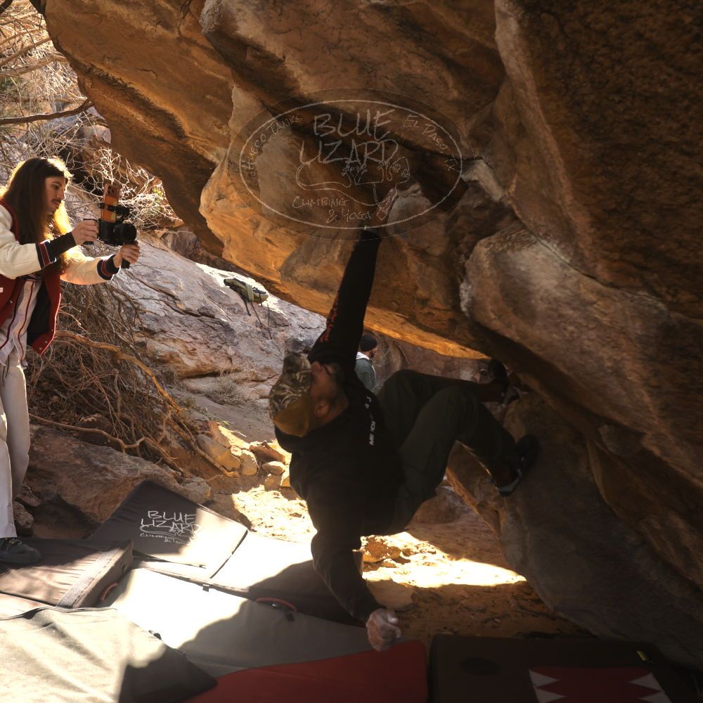 Filename: SRM_20260118_1059440.jpg
Aperture: f/5.6
Shutter Speed: 1/500
Body: Canon EOS R6
Lens: Canon EF 16-35mm f/2.8 L