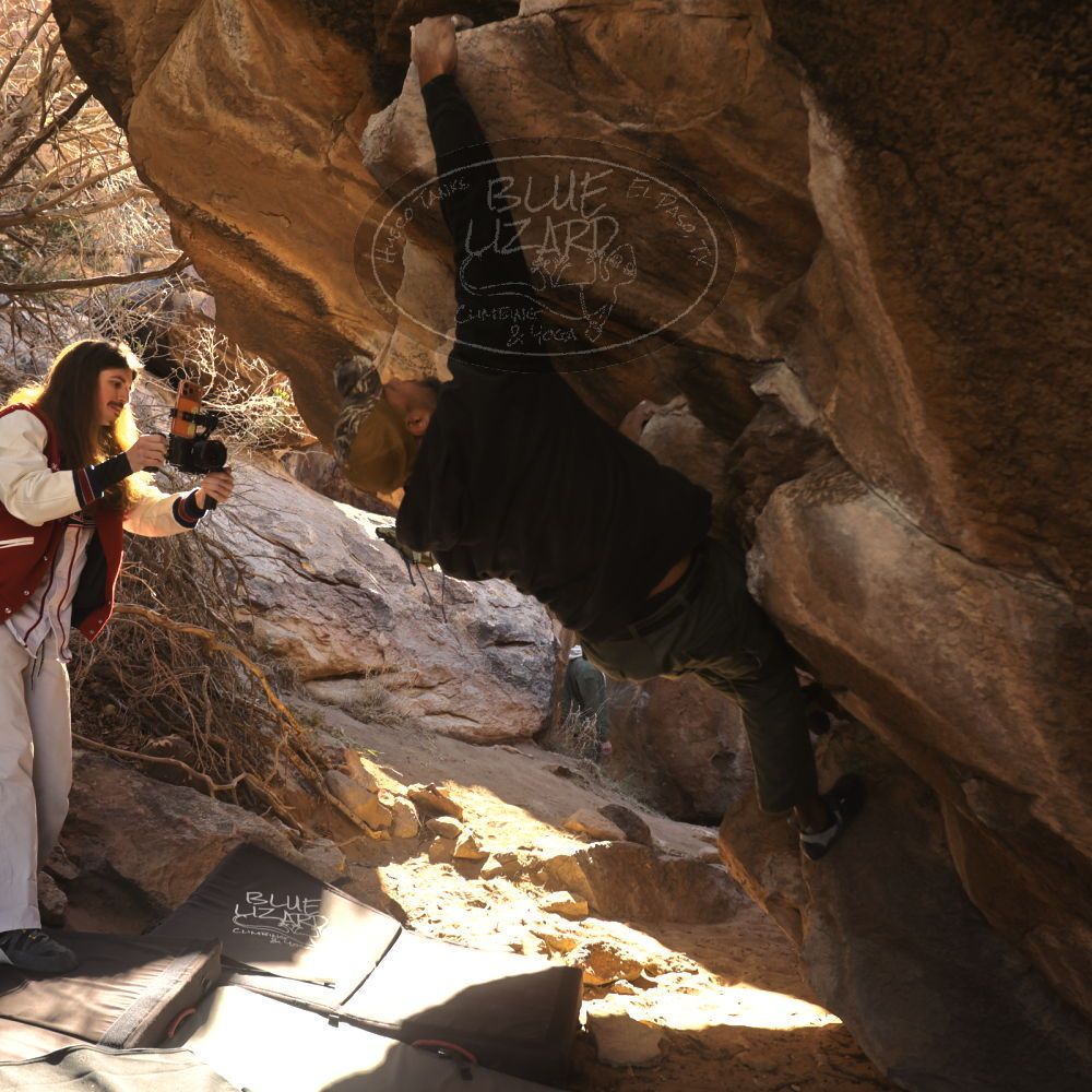 

Filename: SRM_20260118_1059450.jpg
Aperture: f/5.6
Shutter Speed: 1/500
Body: Canon EOS R6
Lens: Canon EF 16-35mm f/2.8 L