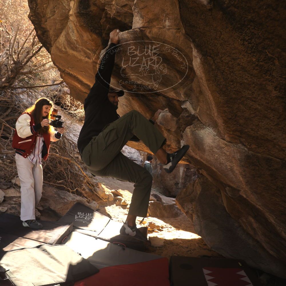 Filename: SRM_20260118_1059460.jpg
Aperture: f/5.6
Shutter Speed: 1/500
Body: Canon EOS R6
Lens: Canon EF 16-35mm f/2.8 L