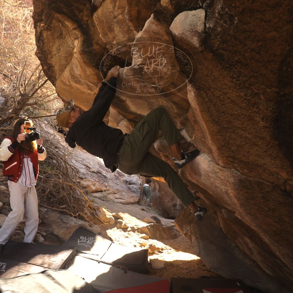 

Filename: SRM_20260118_1059490.jpg
Aperture: f/5.6
Shutter Speed: 1/500
Body: Canon EOS R6
Lens: Canon EF 16-35mm f/2.8 L