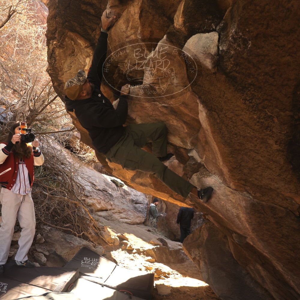 Filename: SRM_20260118_1059530.jpg
Aperture: f/5.6
Shutter Speed: 1/500
Body: Canon EOS R6
Lens: Canon EF 16-35mm f/2.8 L