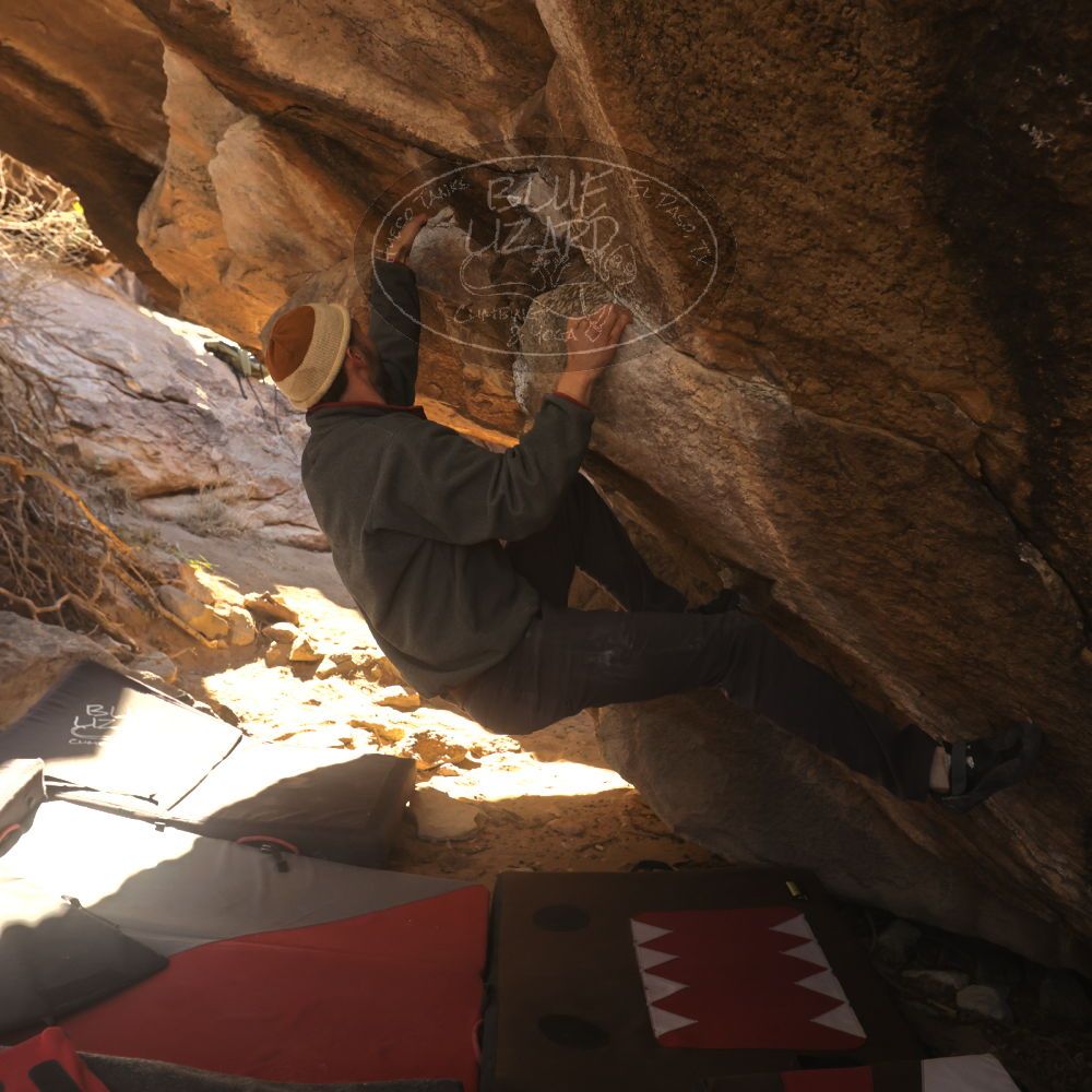 Filename: SRM_20260118_1102410.jpg
Aperture: f/5.6
Shutter Speed: 1/500
Body: Canon EOS R6
Lens: Canon EF 16-35mm f/2.8 L