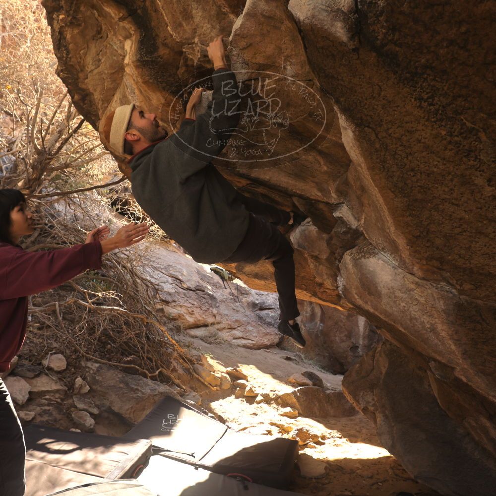 Filename: SRM_20260118_1102550.jpg
Aperture: f/5.6
Shutter Speed: 1/500
Body: Canon EOS R6
Lens: Canon EF 16-35mm f/2.8 L