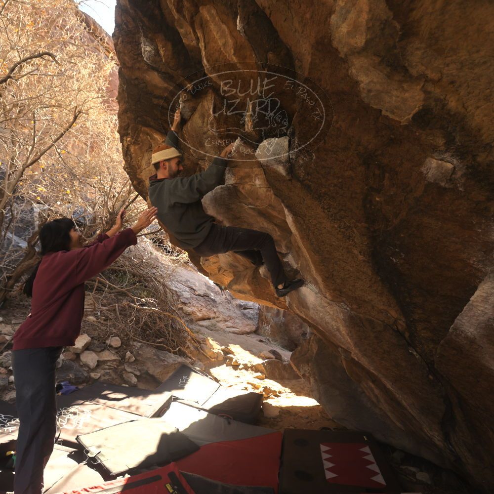 

Filename: SRM_20260118_1103010.jpg
Aperture: f/5.6
Shutter Speed: 1/500
Body: Canon EOS R6
Lens: Canon EF 16-35mm f/2.8 L