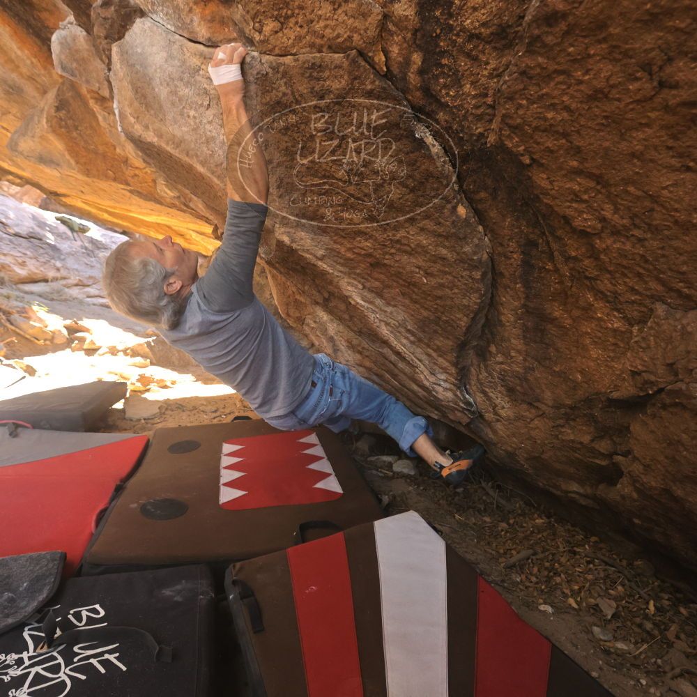 

Filename: SRM_20260118_1105310.jpg
Aperture: f/5.6
Shutter Speed: 1/500
Body: Canon EOS R6
Lens: Canon EF 16-35mm f/2.8 L