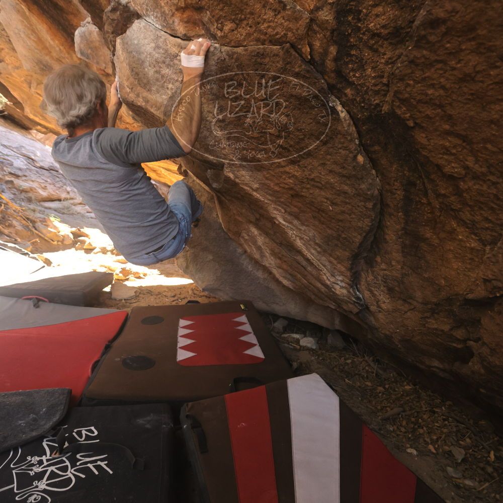 

Filename: SRM_20260118_1105390.jpg
Aperture: f/5.6
Shutter Speed: 1/500
Body: Canon EOS R6
Lens: Canon EF 16-35mm f/2.8 L