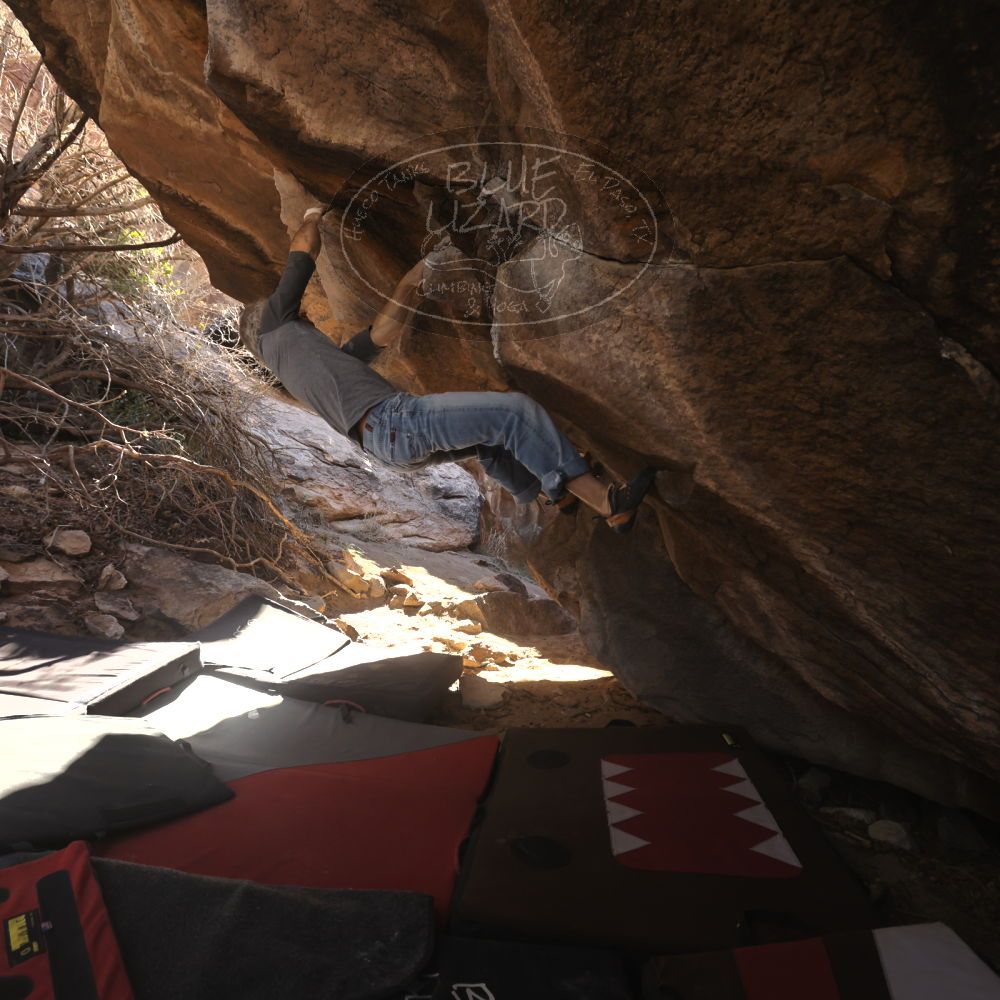 

Filename: SRM_20260118_1105510.jpg
Aperture: f/5.6
Shutter Speed: 1/500
Body: Canon EOS R6
Lens: Canon EF 16-35mm f/2.8 L