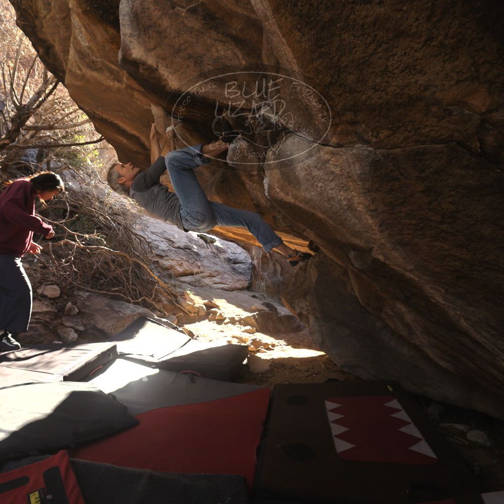 Filename: SRM_20260118_1105570.jpg
Aperture: f/5.6
Shutter Speed: 1/500
Body: Canon EOS R6
Lens: Canon EF 16-35mm f/2.8 L