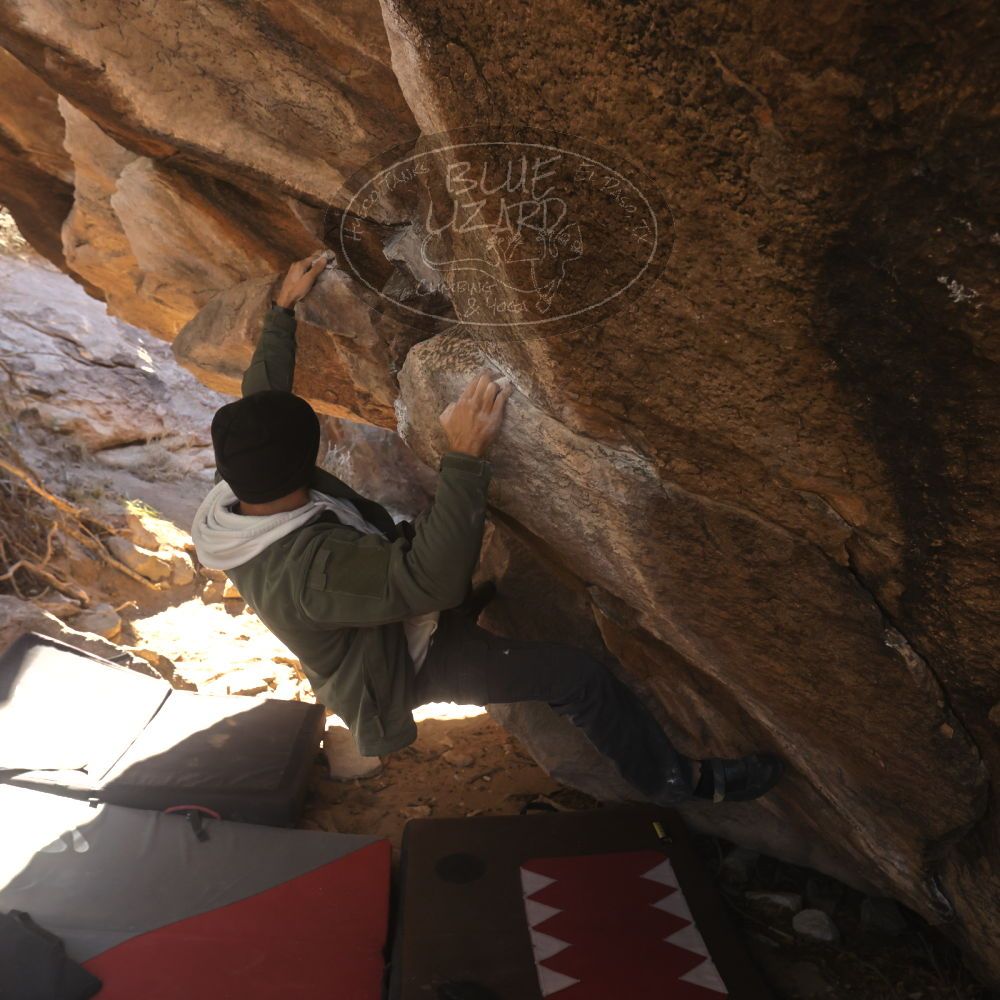 

Filename: SRM_20260118_1107260.jpg
Aperture: f/5.6
Shutter Speed: 1/500
Body: Canon EOS R6
Lens: Canon EF 16-35mm f/2.8 L