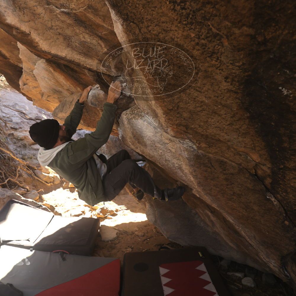 

Filename: SRM_20260118_1107280.jpg
Aperture: f/5.6
Shutter Speed: 1/500
Body: Canon EOS R6
Lens: Canon EF 16-35mm f/2.8 L