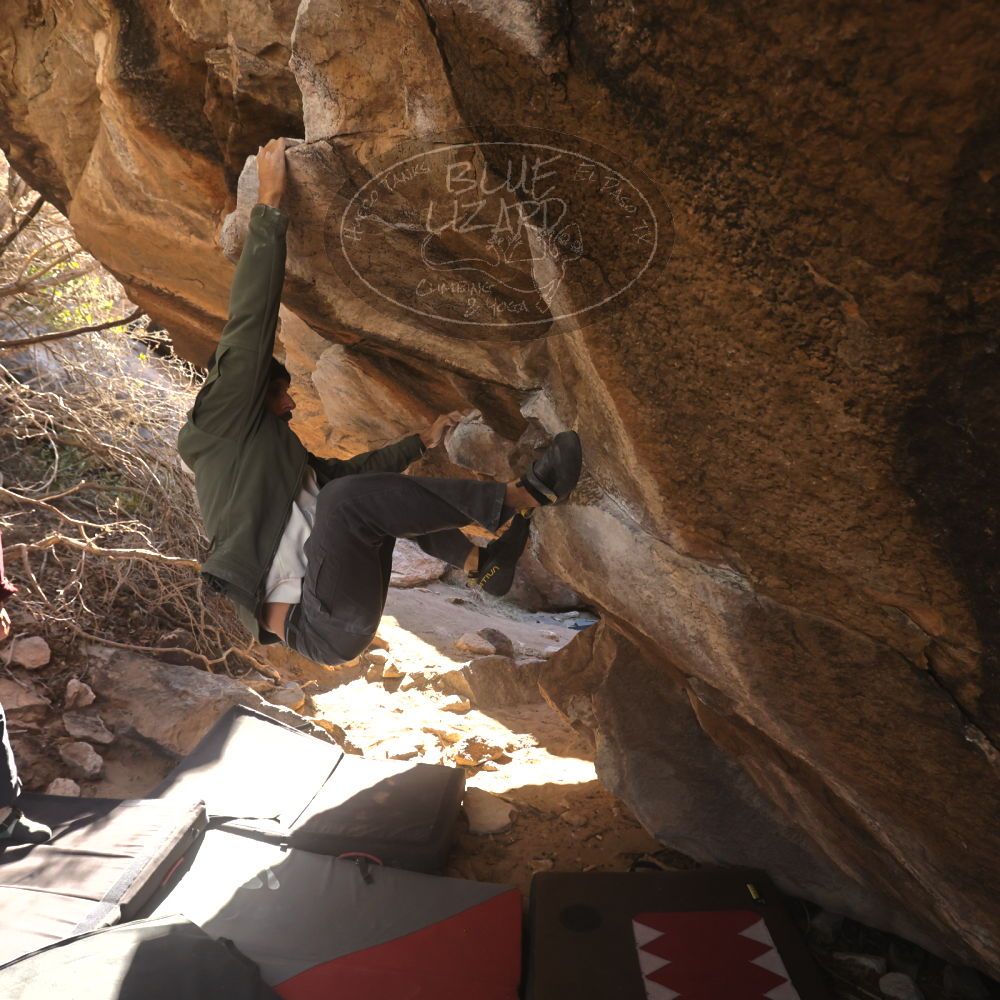 Filename: SRM_20260118_1107330.jpg
Aperture: f/5.6
Shutter Speed: 1/500
Body: Canon EOS R6
Lens: Canon EF 16-35mm f/2.8 L