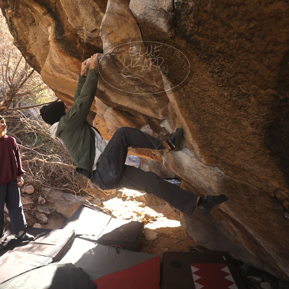 Filename: SRM_20260118_1107350.jpg
Aperture: f/5.6
Shutter Speed: 1/500
Body: Canon EOS R6
Lens: Canon EF 16-35mm f/2.8 L