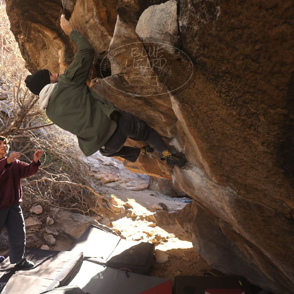 

Filename: SRM_20260118_1107390.jpg
Aperture: f/5.6
Shutter Speed: 1/500
Body: Canon EOS R6
Lens: Canon EF 16-35mm f/2.8 L