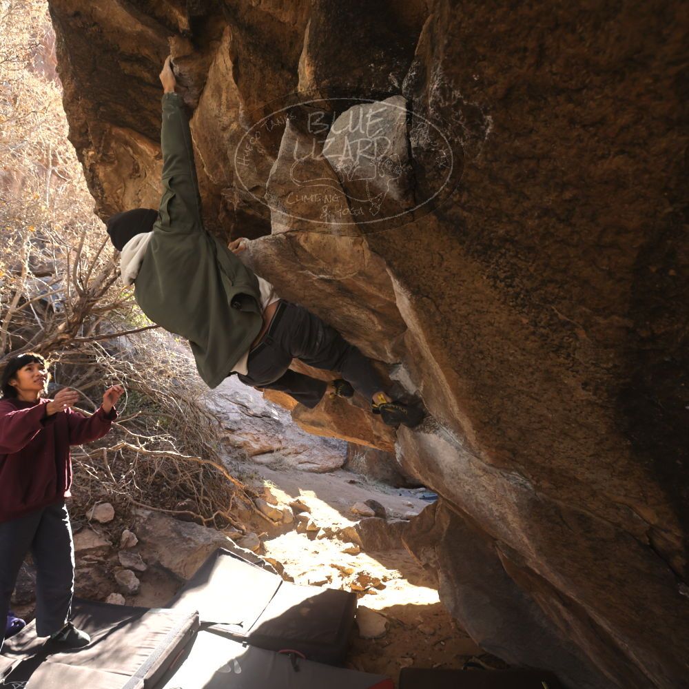 

Filename: SRM_20260118_1107400.jpg
Aperture: f/5.6
Shutter Speed: 1/500
Body: Canon EOS R6
Lens: Canon EF 16-35mm f/2.8 L