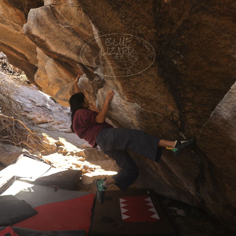 

Filename: SRM_20260118_1110050.jpg
Aperture: f/5.6
Shutter Speed: 1/500
Body: Canon EOS R6
Lens: Canon EF 16-35mm f/2.8 L