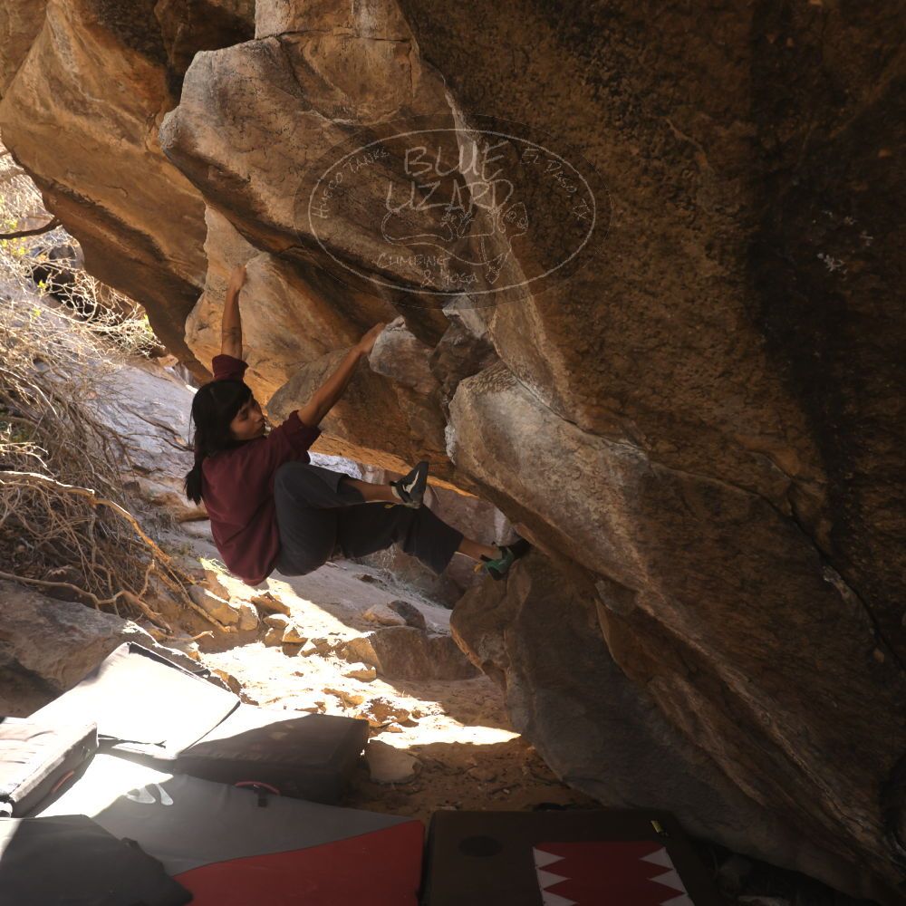 Filename: SRM_20260118_1110160.jpg
Aperture: f/5.6
Shutter Speed: 1/500
Body: Canon EOS R6
Lens: Canon EF 16-35mm f/2.8 L