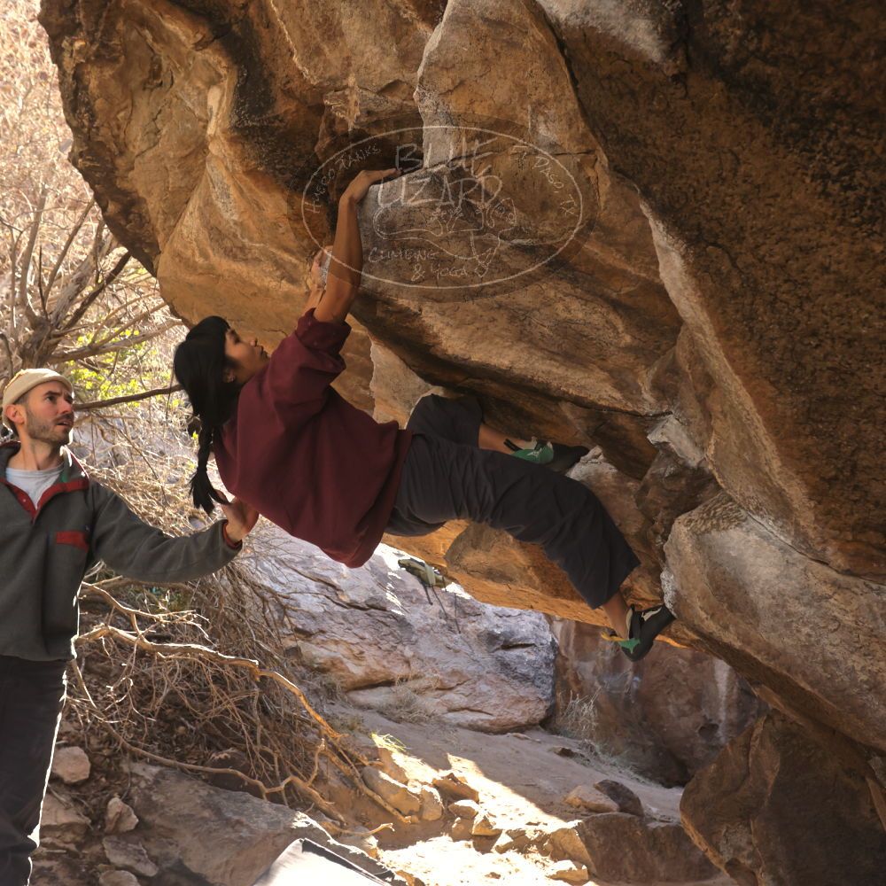 

Filename: SRM_20260118_1110300.jpg
Aperture: f/5.6
Shutter Speed: 1/500
Body: Canon EOS R6
Lens: Canon EF 16-35mm f/2.8 L