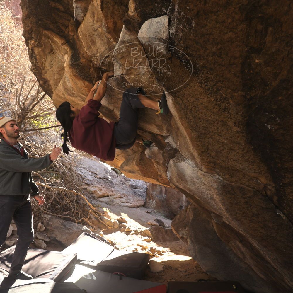 Filename: SRM_20260118_1110350.jpg
Aperture: f/5.6
Shutter Speed: 1/500
Body: Canon EOS R6
Lens: Canon EF 16-35mm f/2.8 L