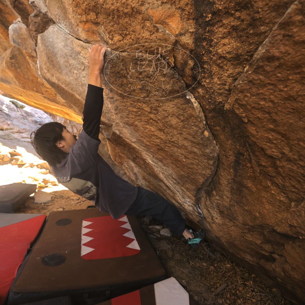 

Filename: SRM_20260118_1112071.jpg
Aperture: f/5.6
Shutter Speed: 1/500
Body: Canon EOS R6
Lens: Canon EF 16-35mm f/2.8 L