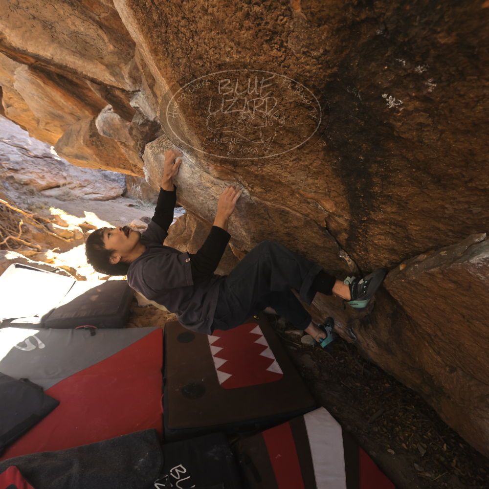 

Filename: SRM_20260118_1112130.jpg
Aperture: f/5.6
Shutter Speed: 1/500
Body: Canon EOS R6
Lens: Canon EF 16-35mm f/2.8 L