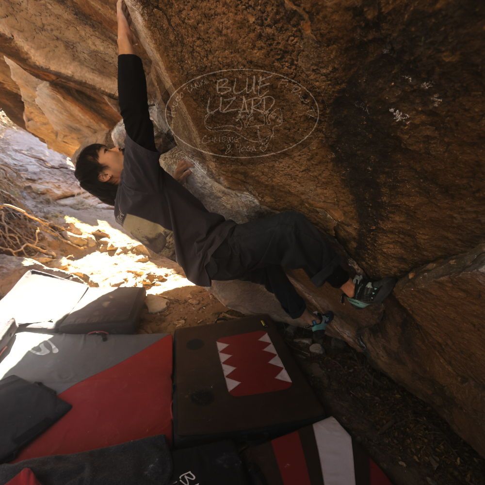 

Filename: SRM_20260118_1112140.jpg
Aperture: f/5.6
Shutter Speed: 1/500
Body: Canon EOS R6
Lens: Canon EF 16-35mm f/2.8 L