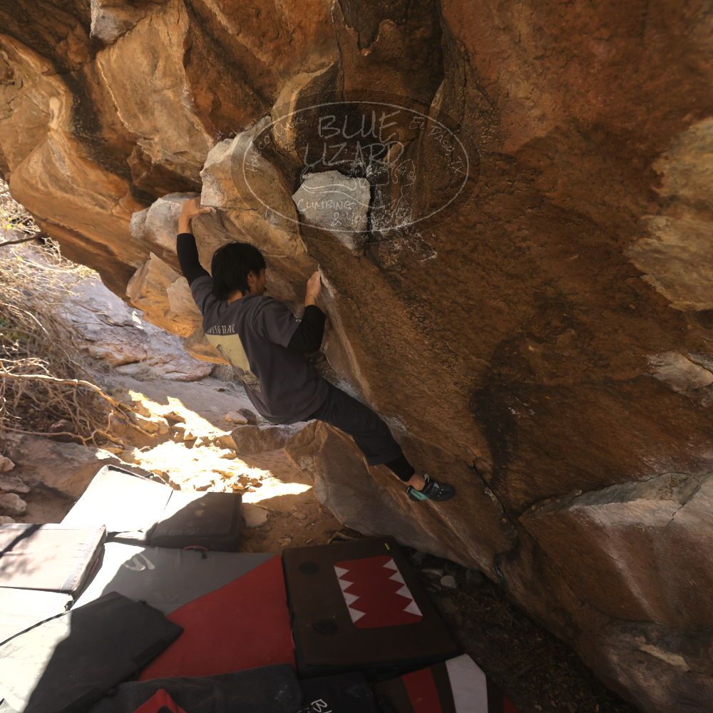 

Filename: SRM_20260118_1112210.jpg
Aperture: f/5.6
Shutter Speed: 1/500
Body: Canon EOS R6
Lens: Canon EF 16-35mm f/2.8 L