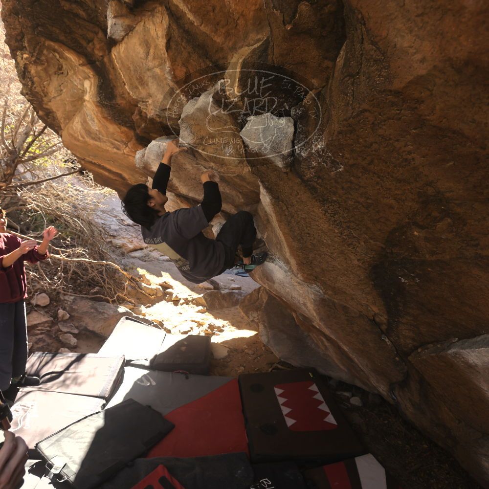 Filename: SRM_20260118_1112220.jpg
Aperture: f/5.6
Shutter Speed: 1/500
Body: Canon EOS R6
Lens: Canon EF 16-35mm f/2.8 L