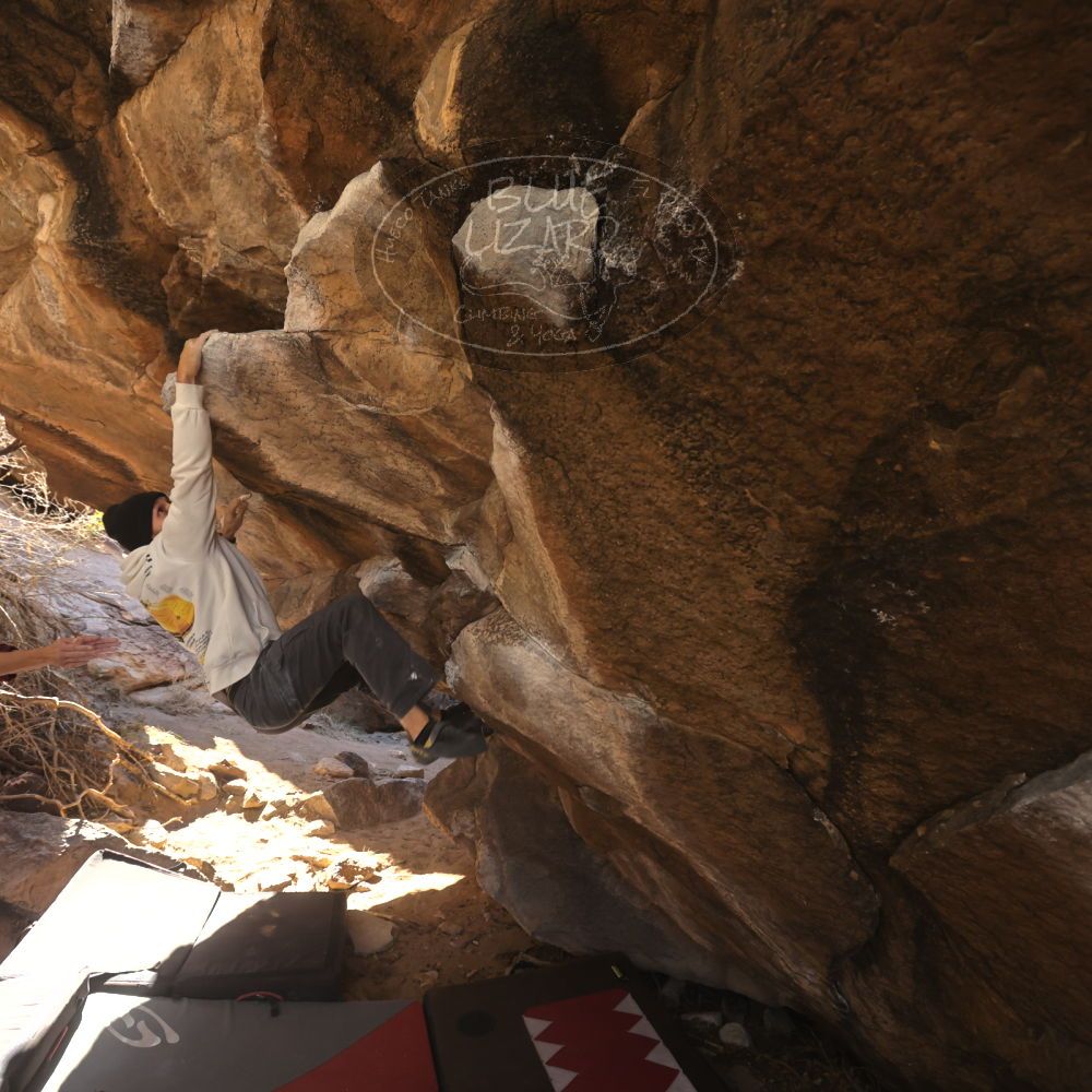 

Filename: SRM_20260118_1115020.jpg
Aperture: f/5.6
Shutter Speed: 1/500
Body: Canon EOS R6
Lens: Canon EF 16-35mm f/2.8 L