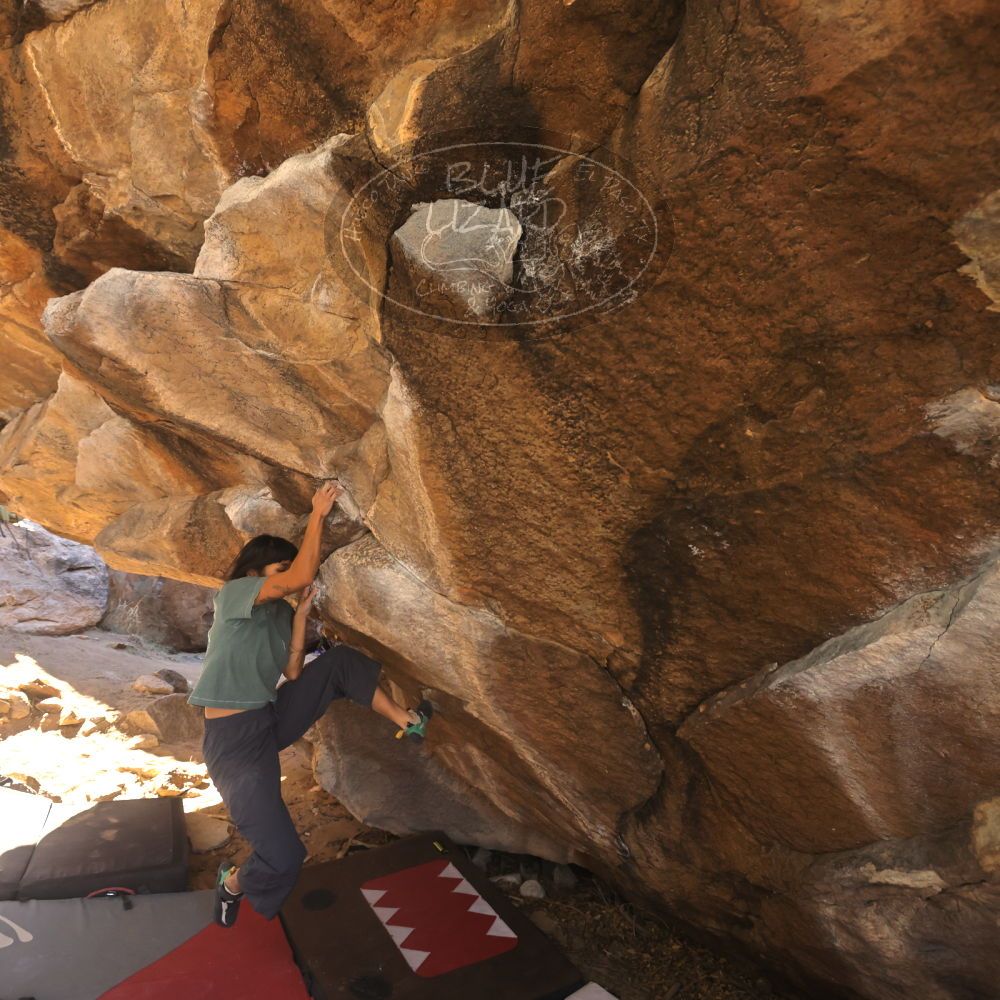 

Filename: SRM_20260118_1118470.jpg
Aperture: f/5.6
Shutter Speed: 1/500
Body: Canon EOS R6
Lens: Canon EF 16-35mm f/2.8 L