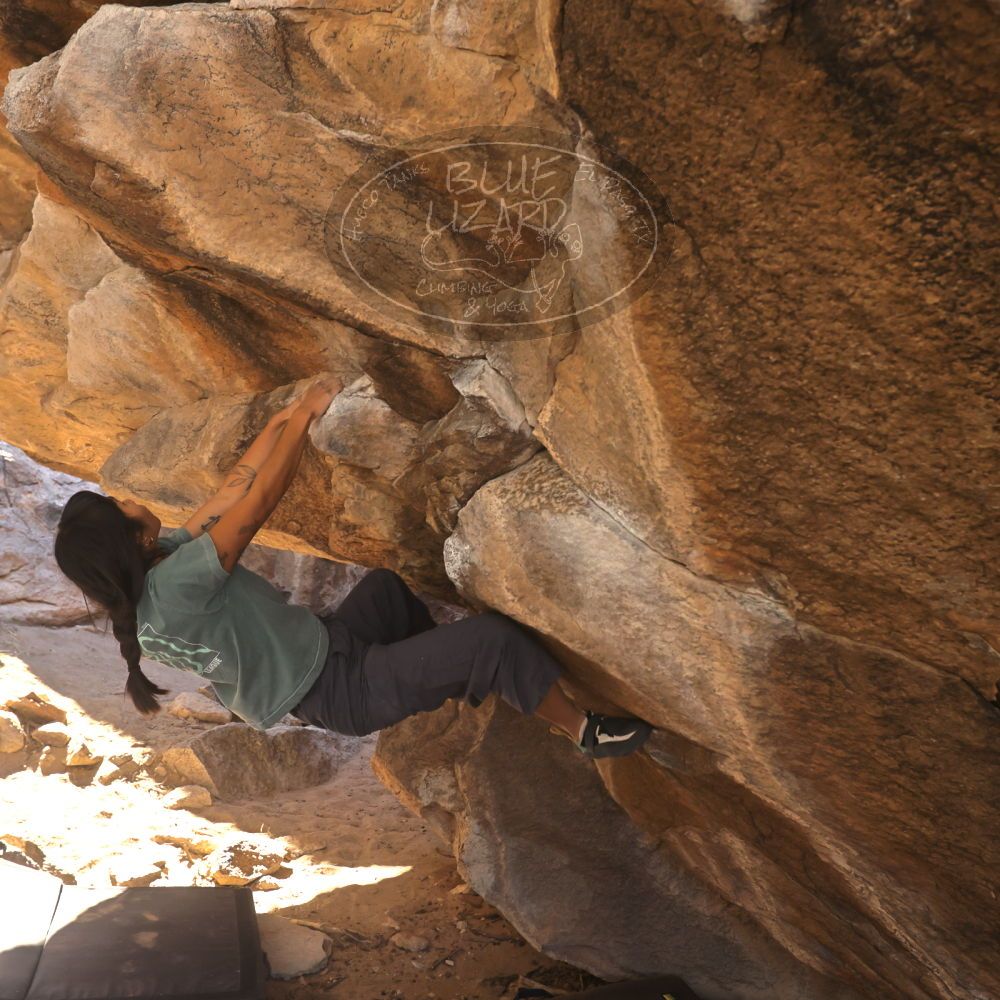 

Filename: SRM_20260118_1119010.jpg
Aperture: f/5.6
Shutter Speed: 1/500
Body: Canon EOS R6
Lens: Canon EF 16-35mm f/2.8 L