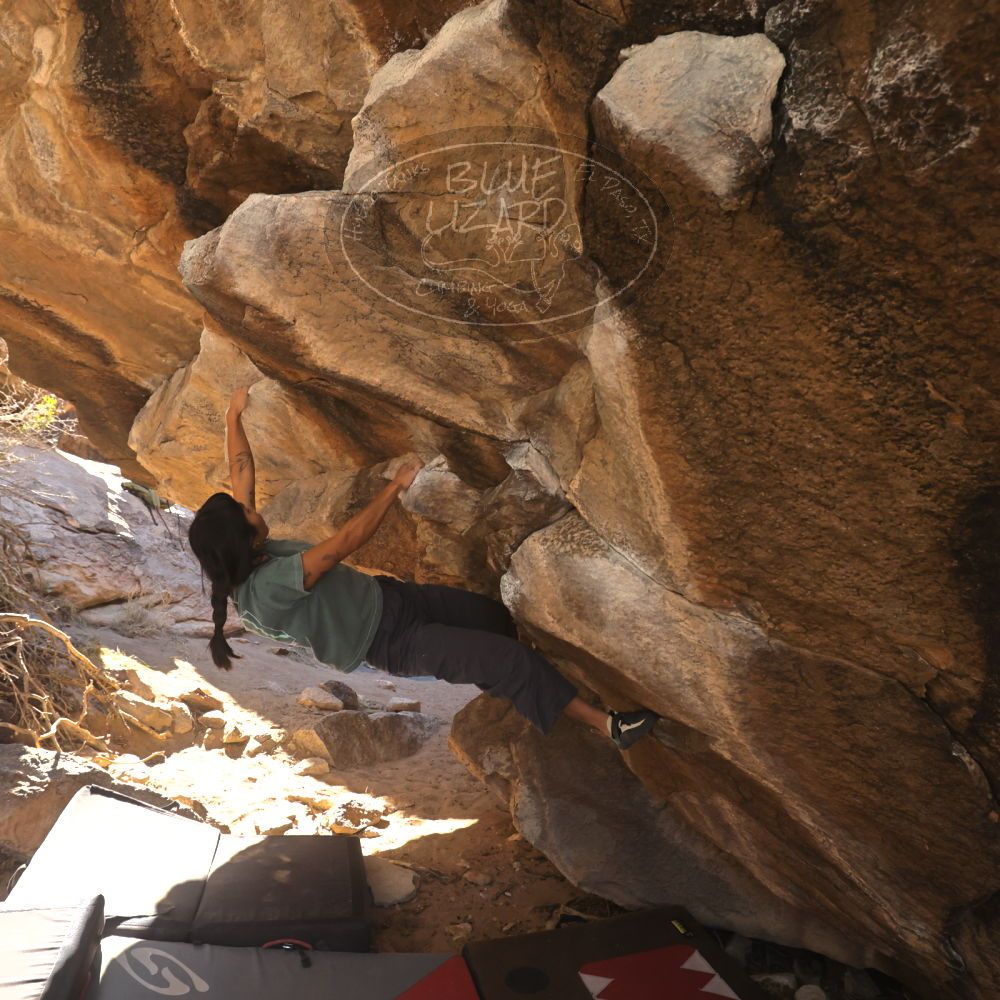 

Filename: SRM_20260118_1119020.jpg
Aperture: f/5.6
Shutter Speed: 1/500
Body: Canon EOS R6
Lens: Canon EF 16-35mm f/2.8 L