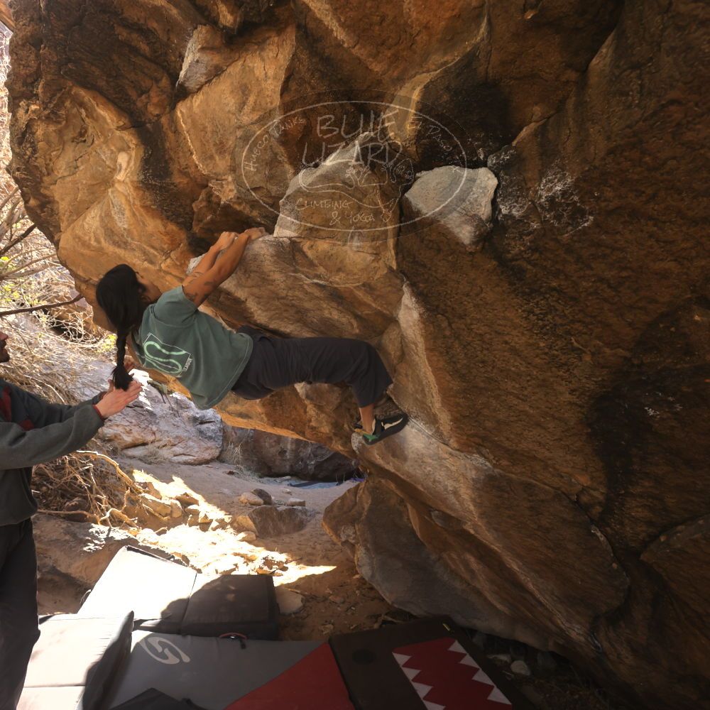 

Filename: SRM_20260118_1119210.jpg
Aperture: f/5.6
Shutter Speed: 1/500
Body: Canon EOS R6
Lens: Canon EF 16-35mm f/2.8 L