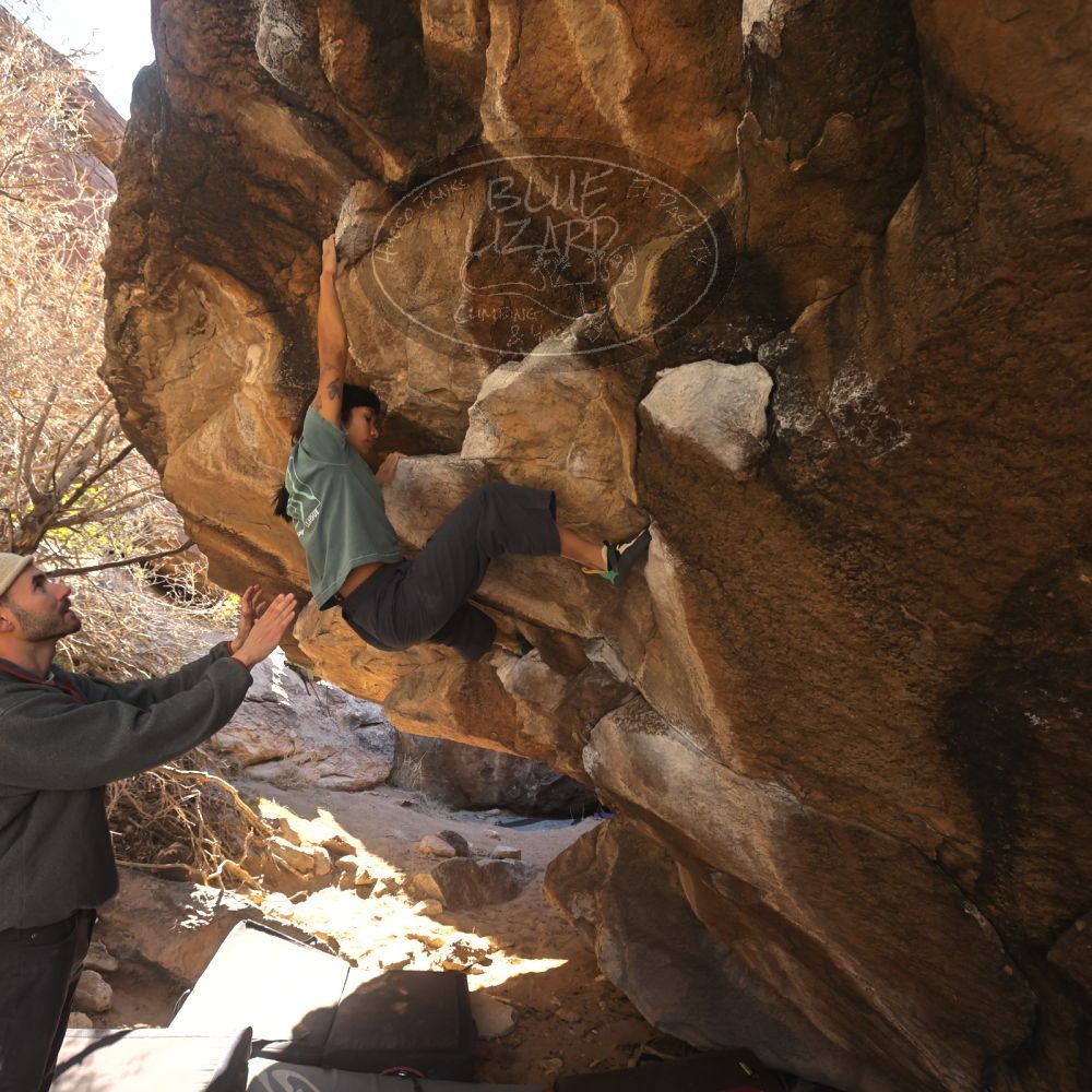 Filename: SRM_20260118_1119430.jpg
Aperture: f/5.6
Shutter Speed: 1/500
Body: Canon EOS R6
Lens: Canon EF 16-35mm f/2.8 L