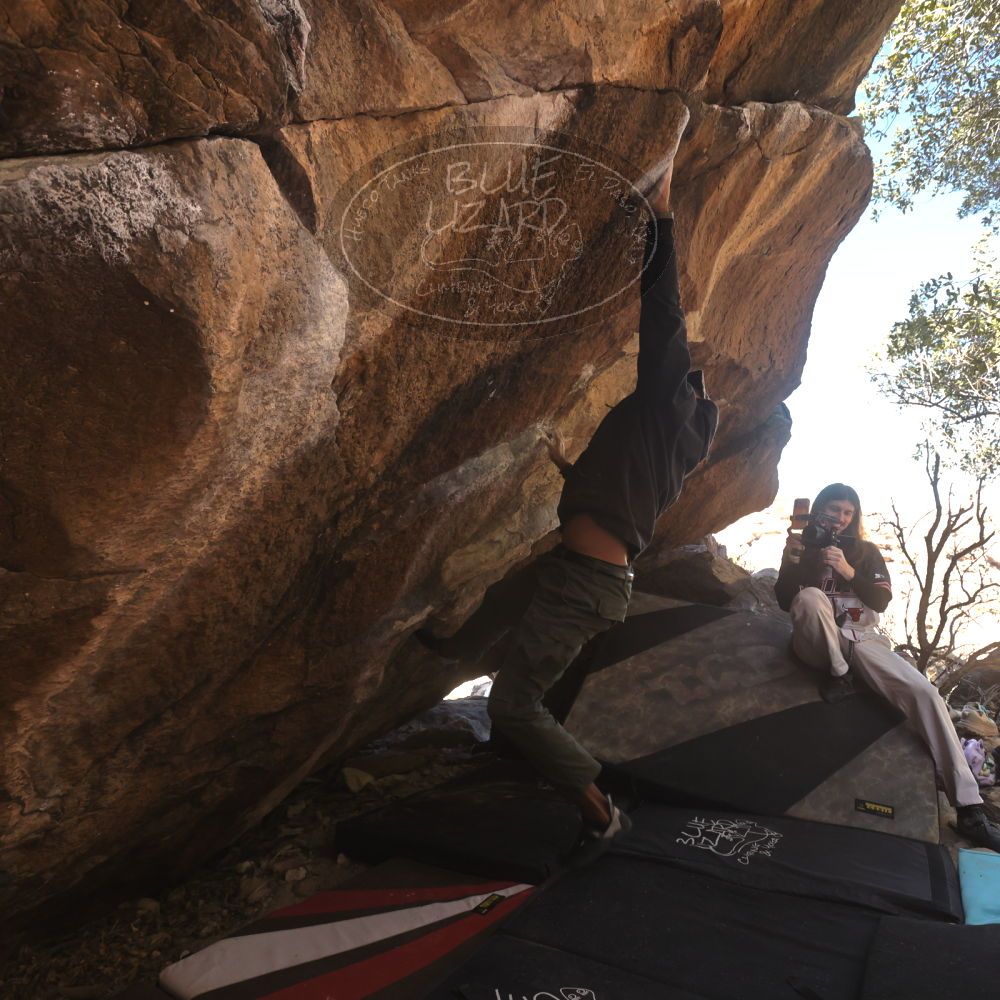 

Filename: SRM_20260118_1132520.jpg
Aperture: f/5.6
Shutter Speed: 1/500
Body: Canon EOS R6
Lens: Canon EF 16-35mm f/2.8 L