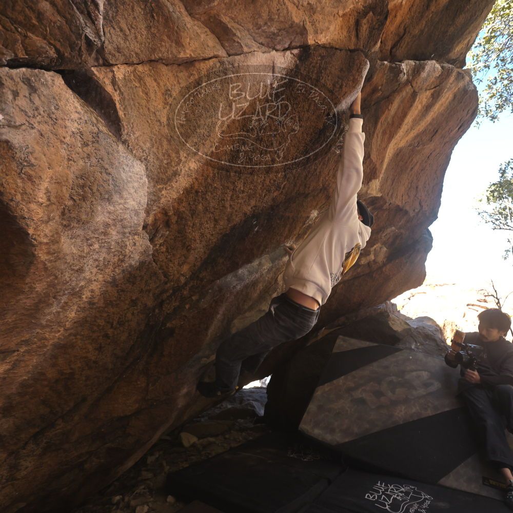 

Filename: SRM_20260118_1139000.jpg
Aperture: f/5.6
Shutter Speed: 1/500
Body: Canon EOS R6
Lens: Canon EF 16-35mm f/2.8 L